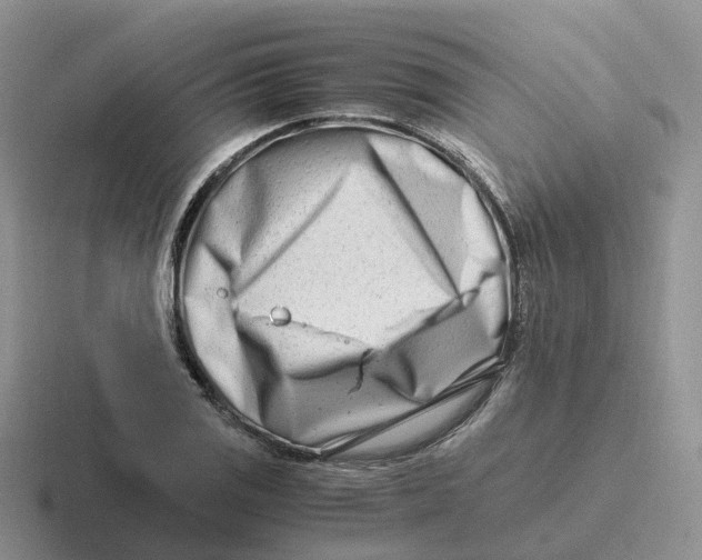 X0000116661125201001041105