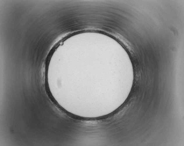 X0000116661126201001041105