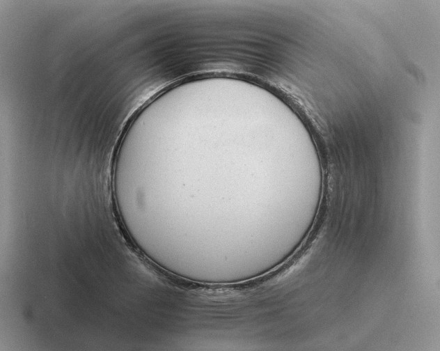 X0000116661129201001041105