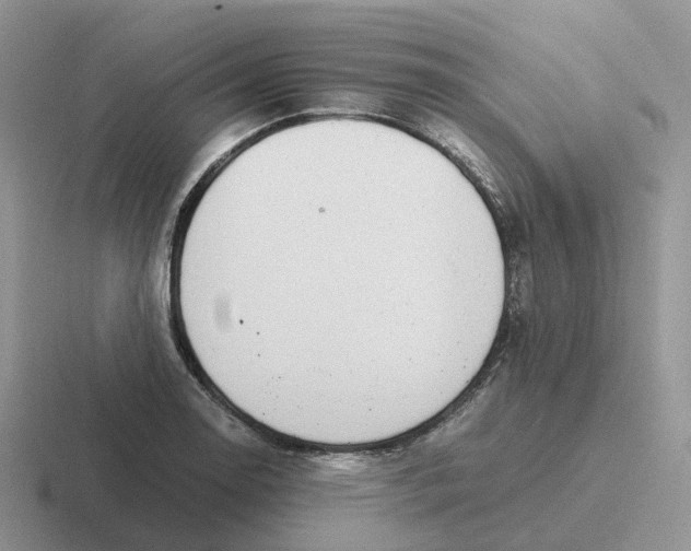 X0000116661130201001041105