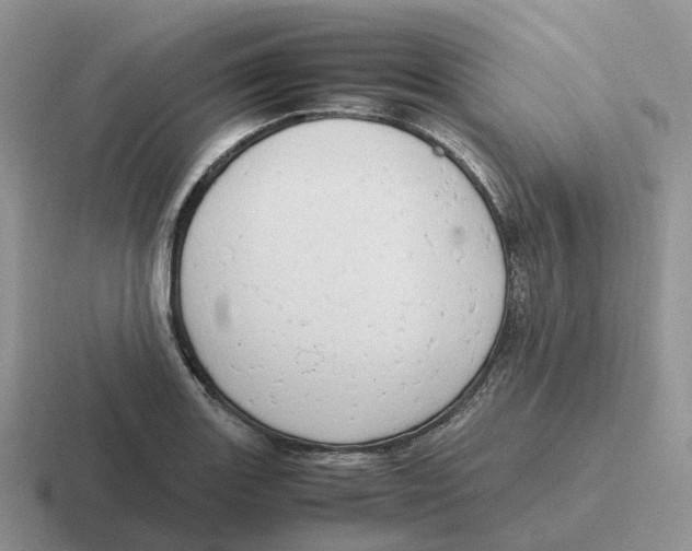 X0000116661131201001041105