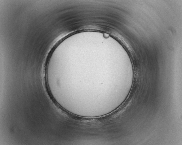 X0000116661133201001041105