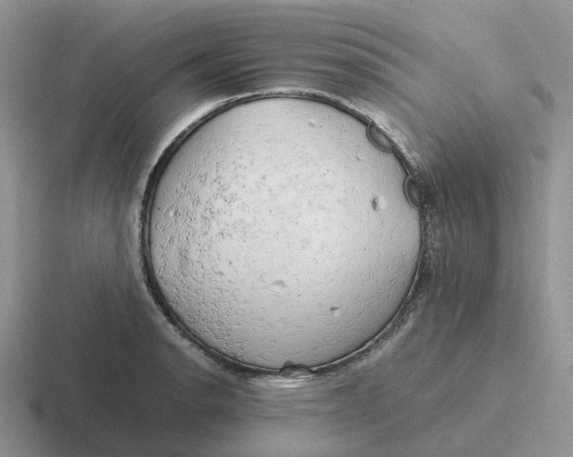 X0000116661134201001041105