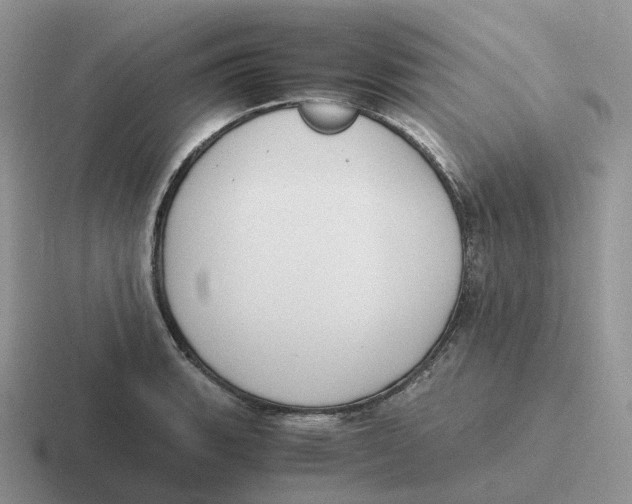 X0000116661135201001041105