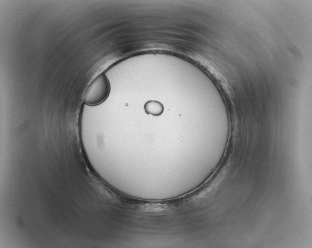 X0000116661137201001041105