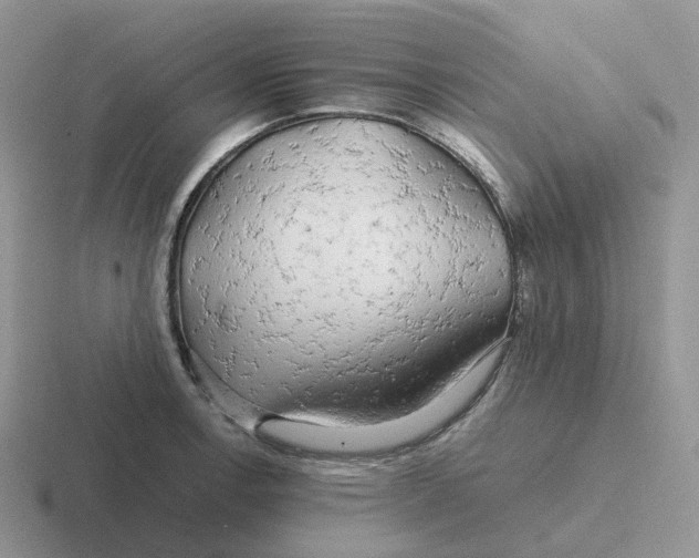 X0000116661138201001041105