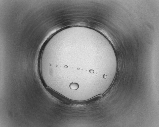 X0000116661139201001041105