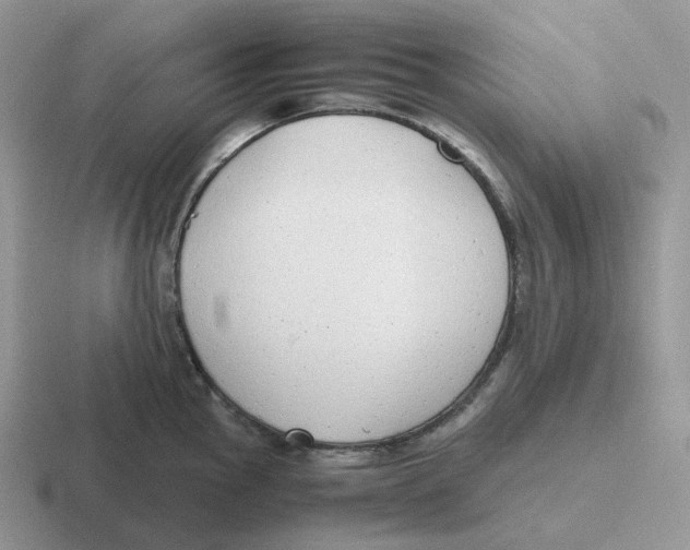 X0000116661145201001041105