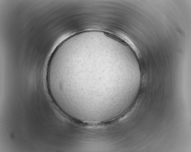 X0000116661146201001041105