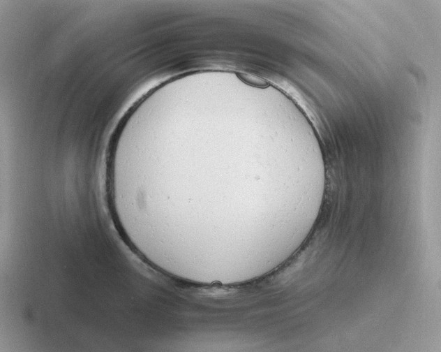 X0000116661147201001041105