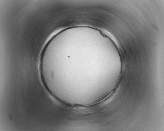 X0000116661149201001041105