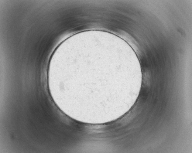 X0000116661150201001041105