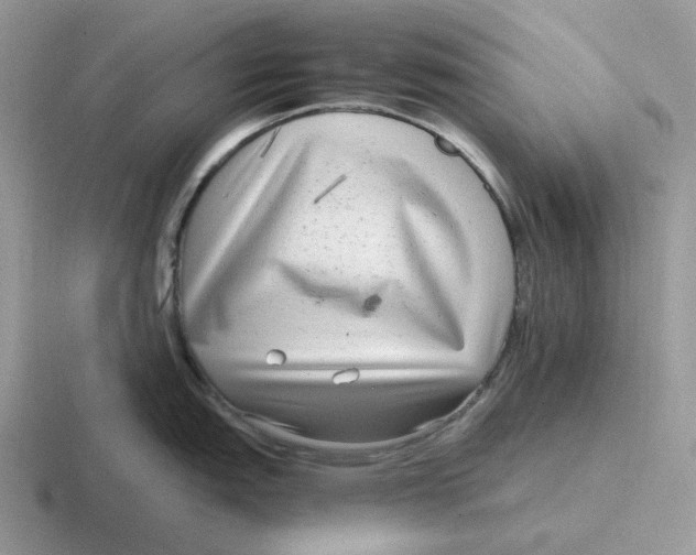 X0000116661151201001041105