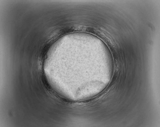 X0000116661154201001041104