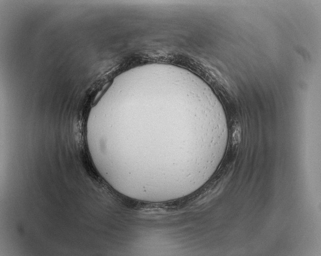 X0000116661156201001041104