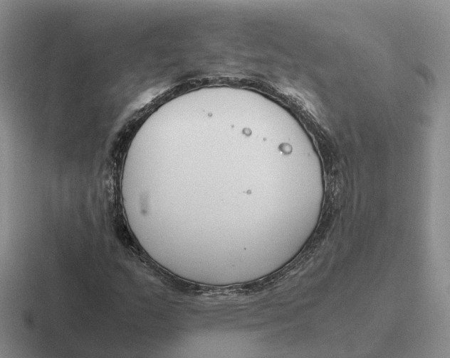 X0000116661159201001041104