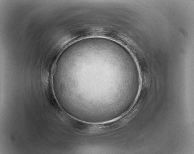 X0000116661161201001041104