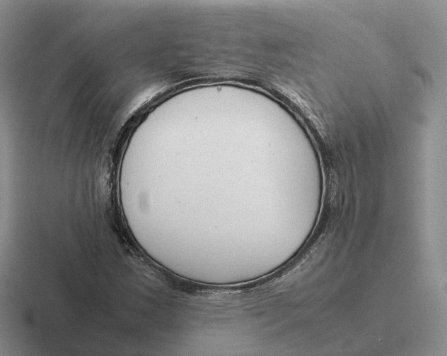 X0000116661163201001041104