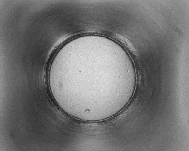 X0000116661164201001041104