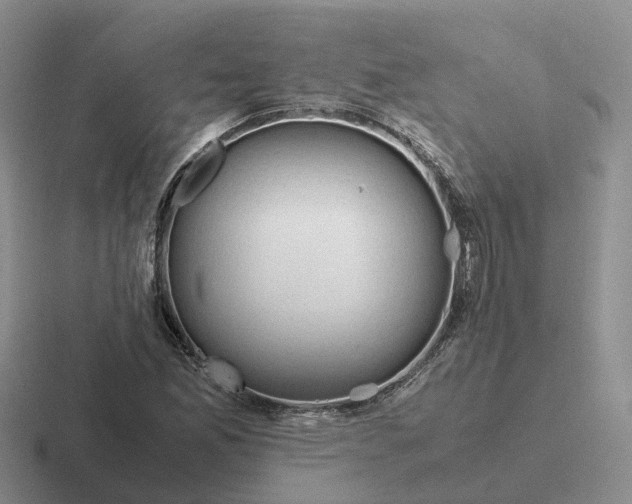 X0000116661165201001041104