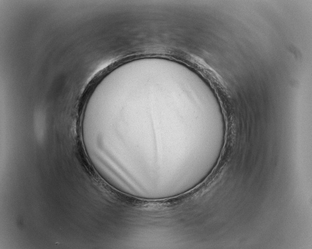 X0000116661166201001041104