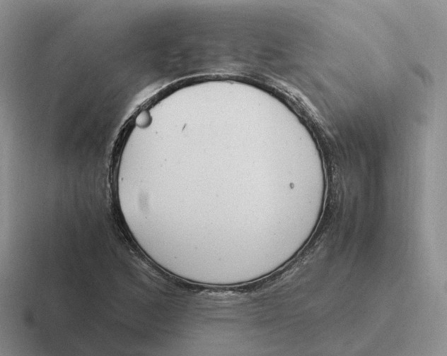 X0000116661168201001041104