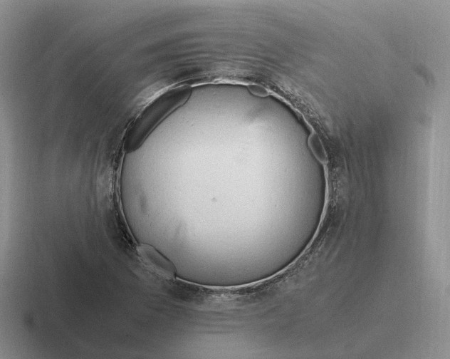 X0000116661169201001041104