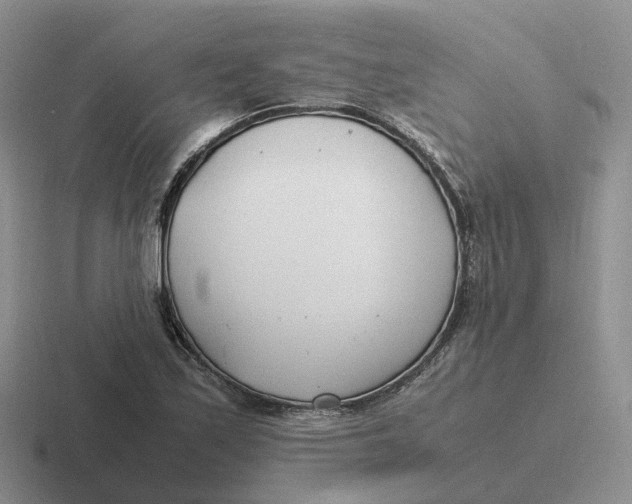 X0000116661171201001041104