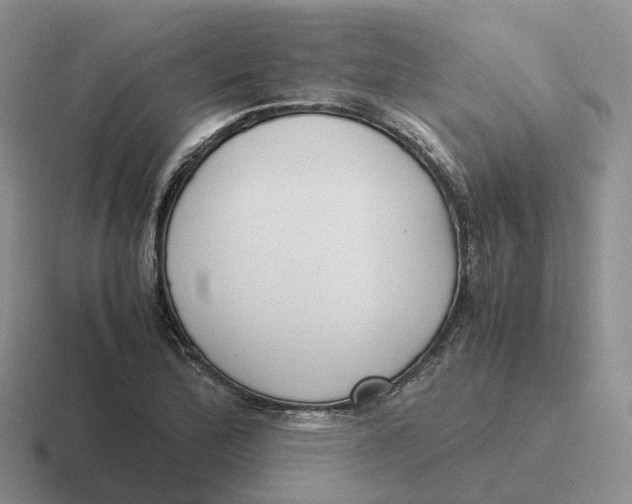 X0000116661172201001041104