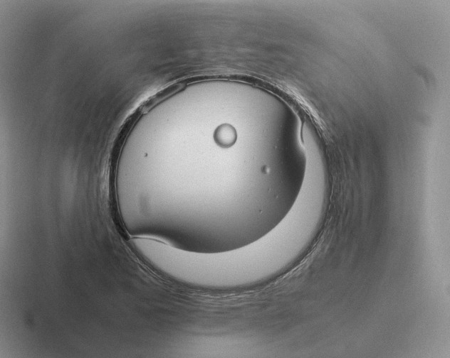 X0000116661173201001041104