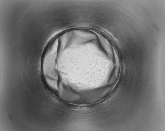 X0000116661174201001041104