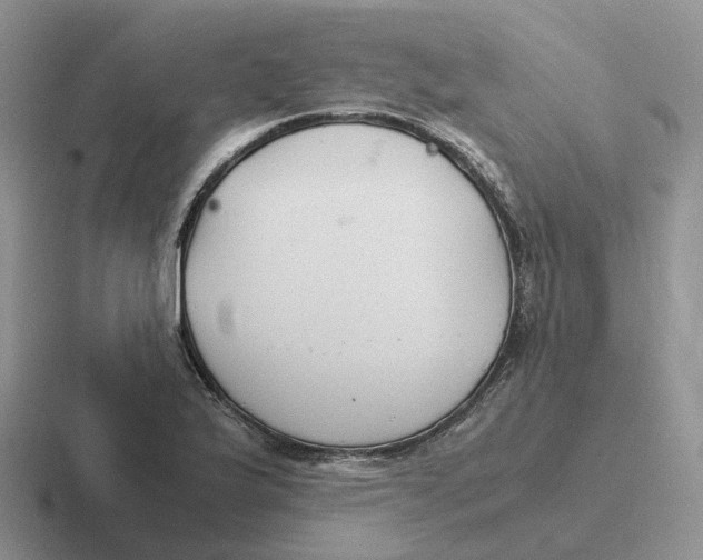 X0000116661175201001041104