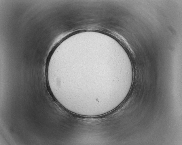 X0000116661176201001041104