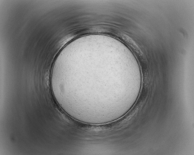 X0000116661177201001041104