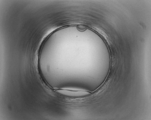 X0000116661179201001041104