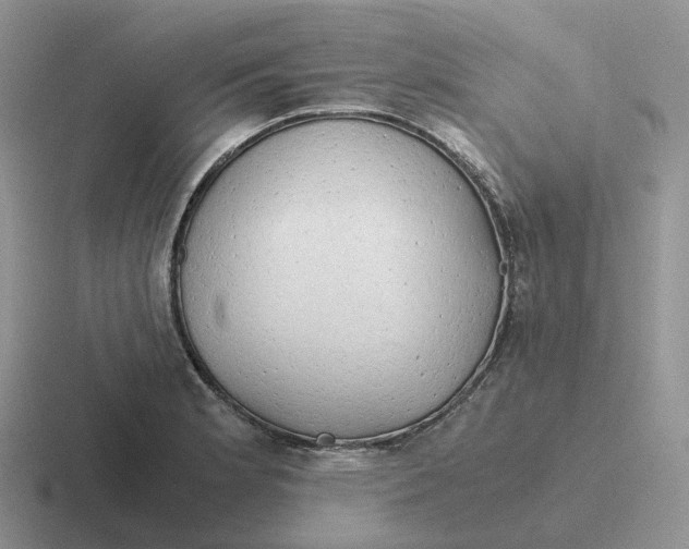 X0000116661181201001041104