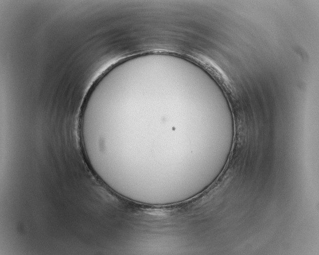 X0000116661182201001041104