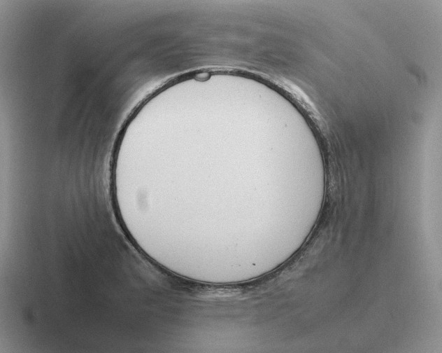 X0000116661183201001041104