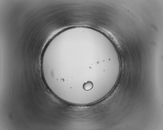 X0000116661184201001041104