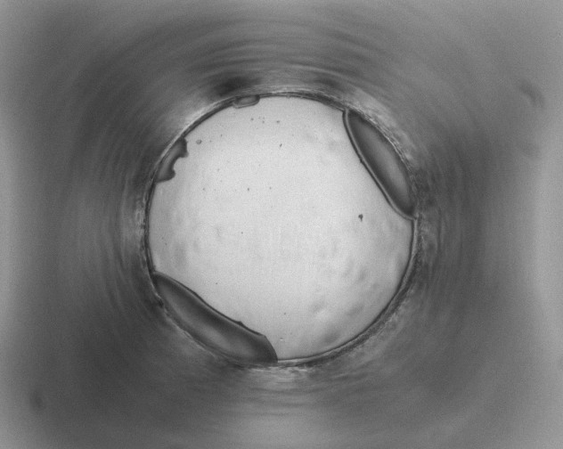 X0000116661185201001041104