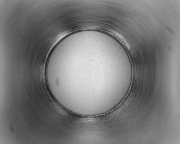 X0000116661186201001041104