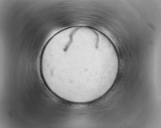 X0000116661187201001041104