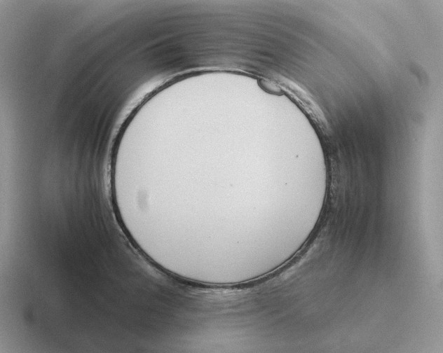 X0000116661188201001041104