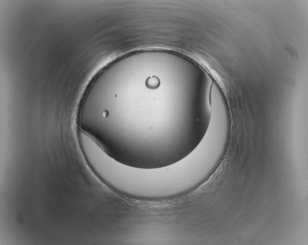 X0000116661189201001041104