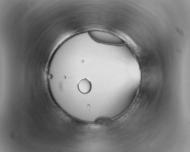 X0000116661190201001041104