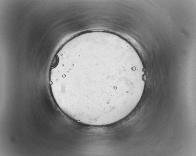 X0000116661191201001041104