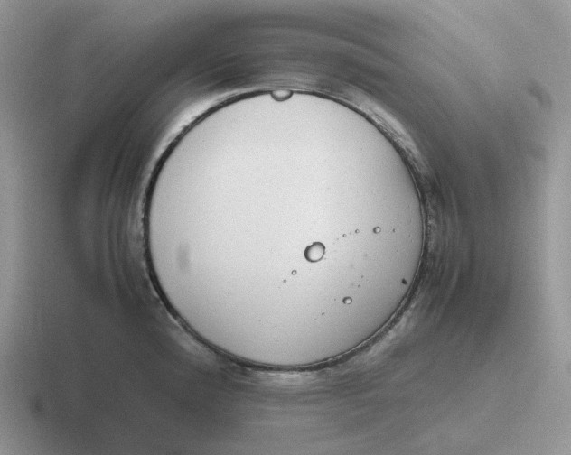 X0000116661192201001041104