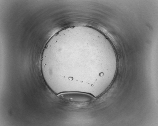 X0000116661193201001041104