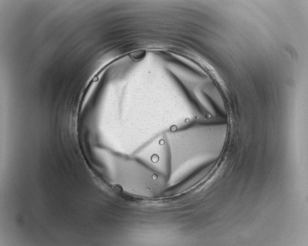 X0000116661194201001041104