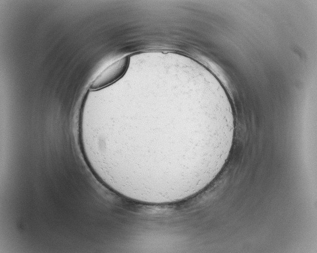 X0000116661195201001041104